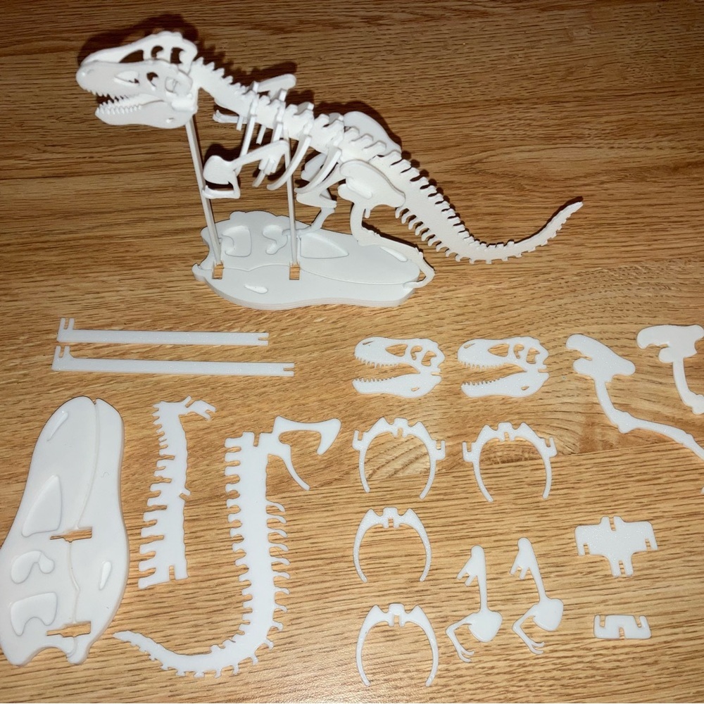 3-D printed biodegradable 4-Pack Dinosaur Puzzle Paint kits, 2 brushes, 3 colors